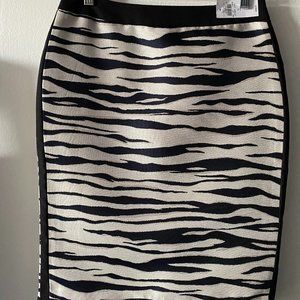 Ann Taylor Pencil Skirt Size 2 - NEW with tags
